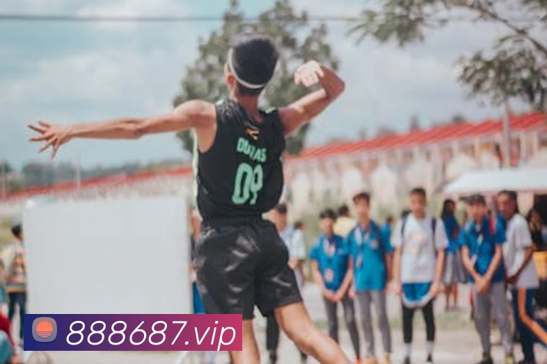 8868体育全站App